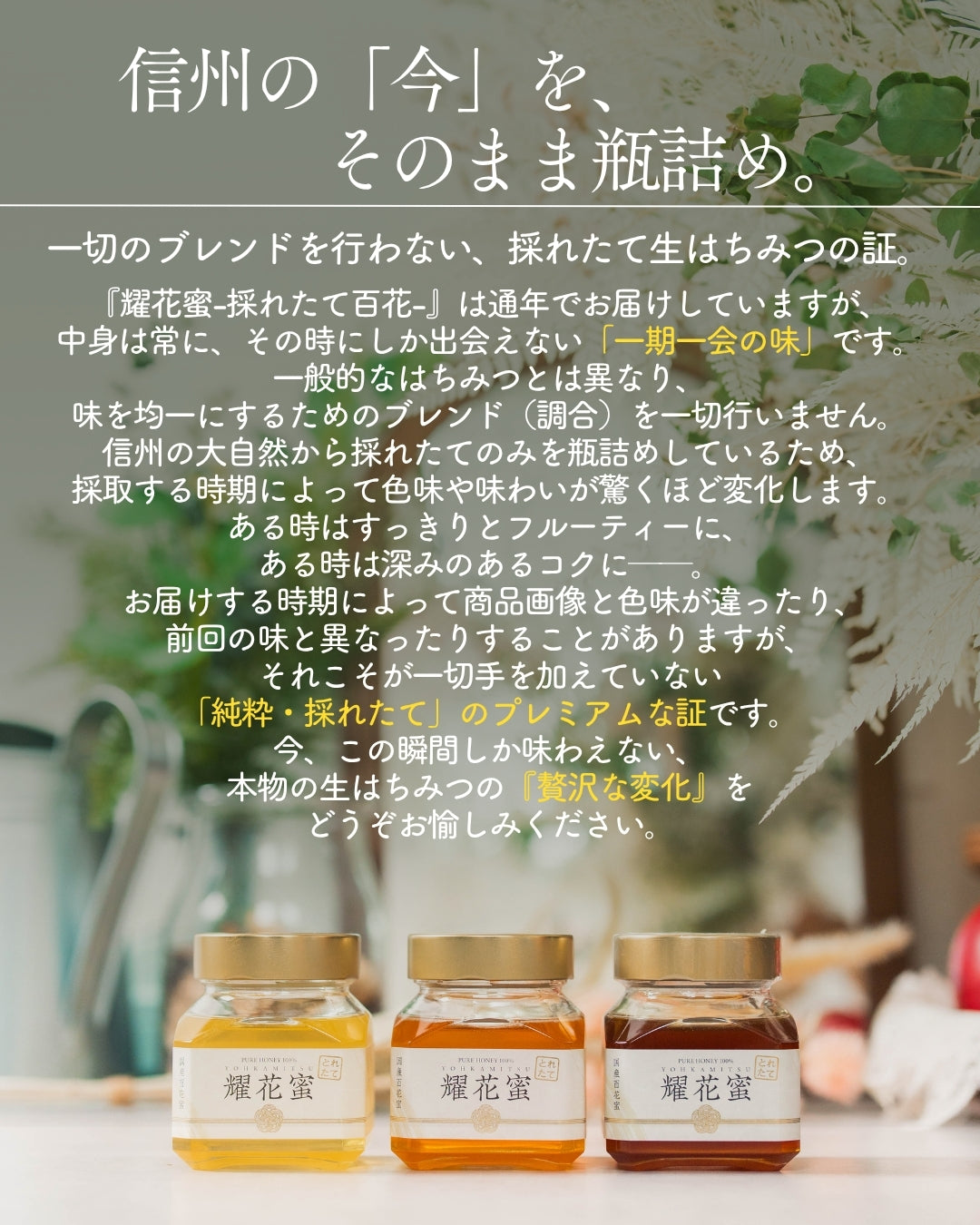 耀花蜜 -採れたて信州産百花蜜- 140g/300g/500g – Honey Prime